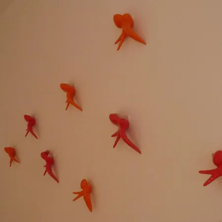 Casas Do Castelo * Lisboa